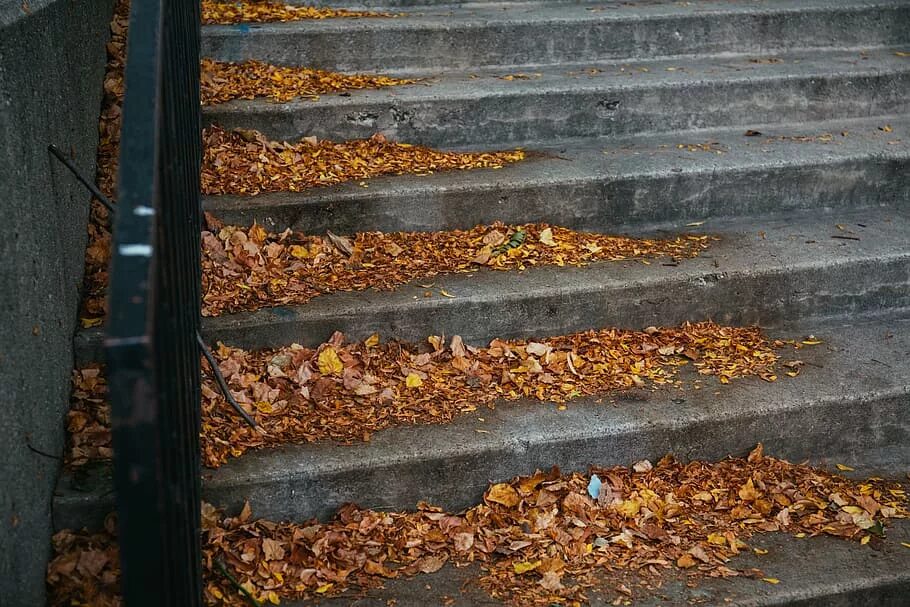 Stepped fall. Листья, ступеньки, осень. Каменные ступени осень город. Крутые ступеньки осень. Пазл осень ступеньки.