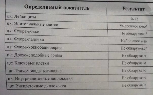 Микрофлора обнаружена что это значит. Микрофлора мелкие палочки кокки. Микрофлора палочки в мазке.