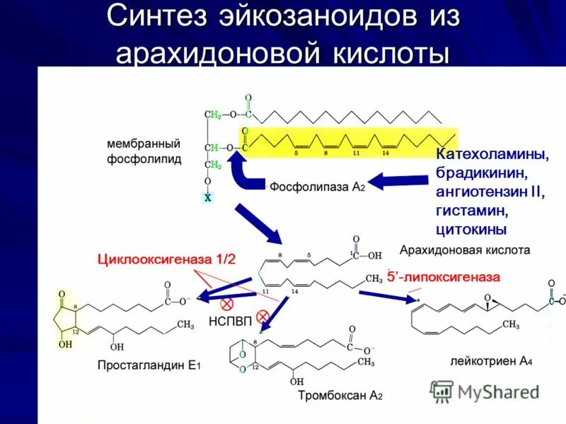 Формула арахидоновой кислоты