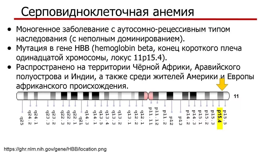 Серповидноклеточная анемия какая. Тип наследования серповидно-клеточной анемии. Серповидноклеточная анемия этиология. Серповидноклеточная анемия Тип наследования. Серповидно-клеточная анемия (s-гемоглобинопатия).