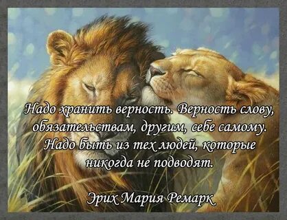 Верность и действие