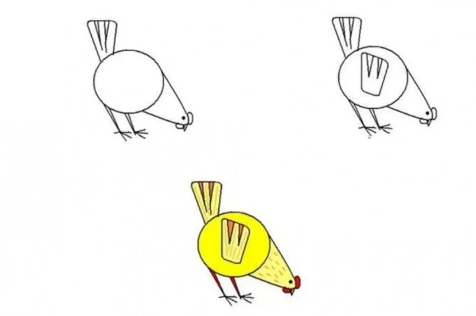 Поэтапное рисование курицы для детей. Схема рисования курица для детей. Пошаговое рисование курицы. Поэтапное рисование курочки для детей.