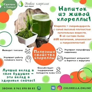 Полезные свойства спирулины и хлореллы