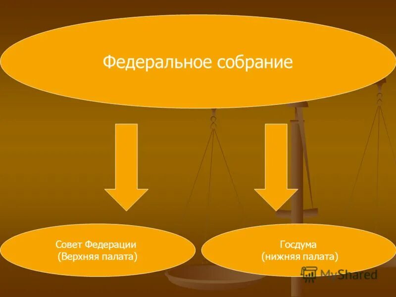 Полномочия верхней палаты. Верхняя палата и нижняя палата. Совет Федерации верхняя палата. Верхняя и нижняя палата федерального собрания. Совет Федерации нижняя палата или верхняя.