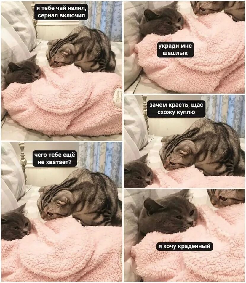 Хочешь я тебе что нибудь
