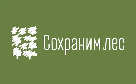 Сохраним лес