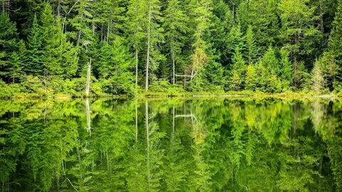 L nature
