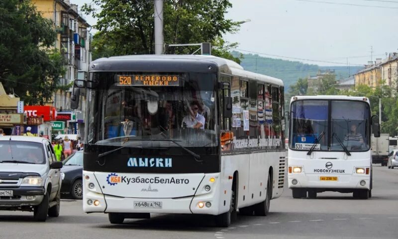 Автобусы мыски грэс 101. Автобус мыски новокузнецк. Расписание автобусов мыски. Автобус новокузнецк нефаз кемерово. Где автобус мыски.