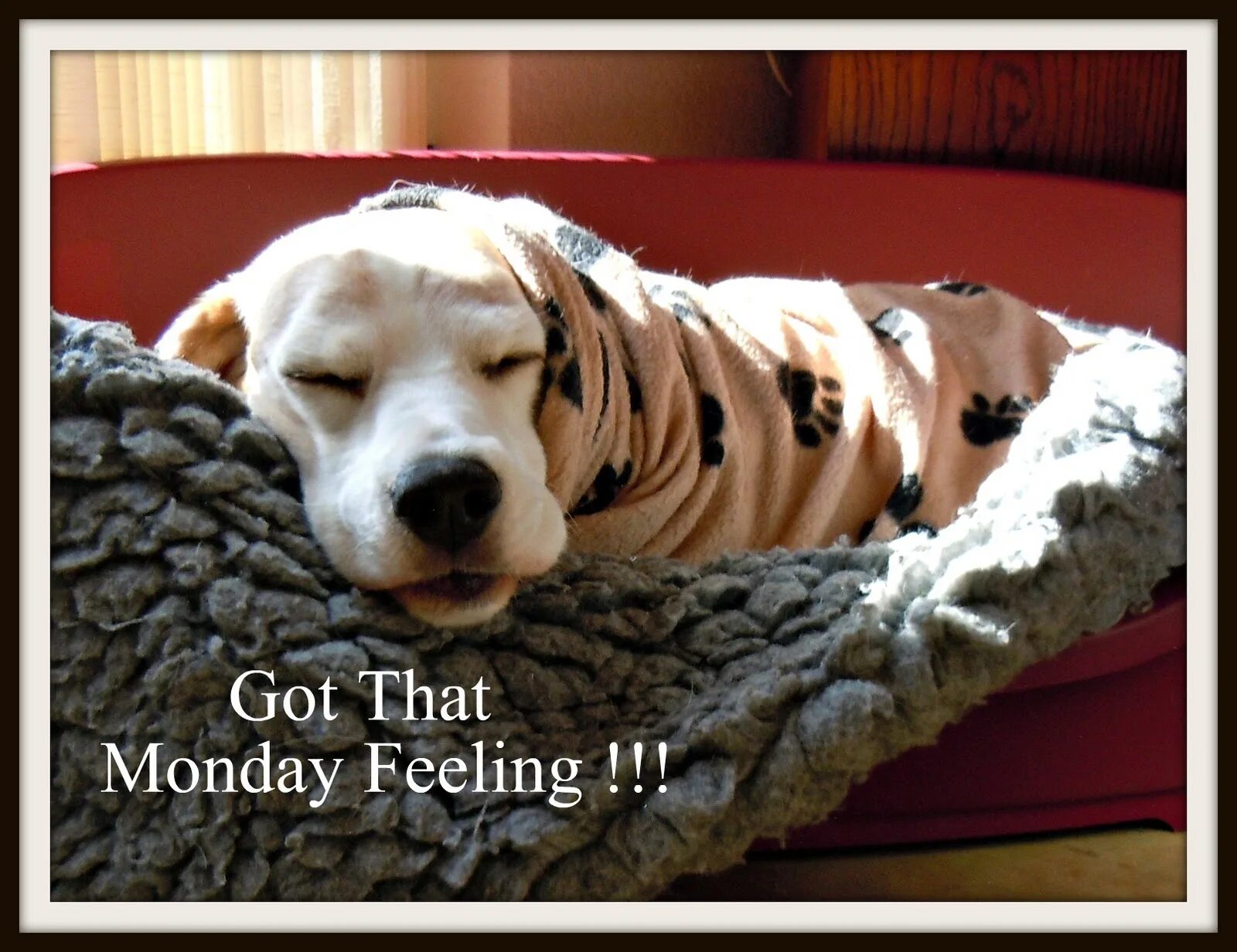 Monday story. Monday feeling примеры. Monday feeling примеры предложений. Monday feeling