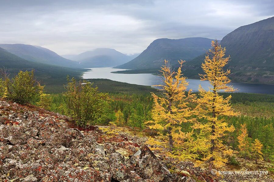 арктический заповедник красноярский край. таймырский заповедник озеро таймыр. таймыр плато путорана. самый северный природный заповедник. нацпарк югыд ва приполярный урал.
