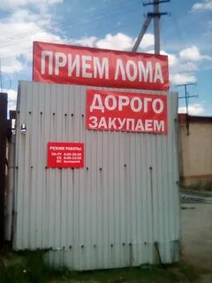 Где принимают на работу