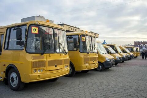 Кладбище школьных автобусов читать 86 глава