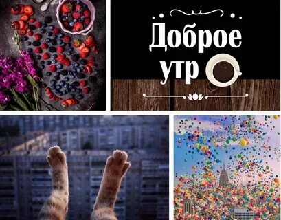 Смешные картинки с добрым утром среды