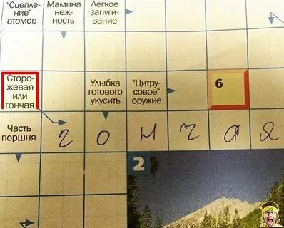 Прикольная шутка кроссворд 5