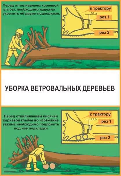 При валке деревьев запрещается. Охрана труда на лесозаготовках. техника безопасности на валке леса. валка деревьев охрана труда.