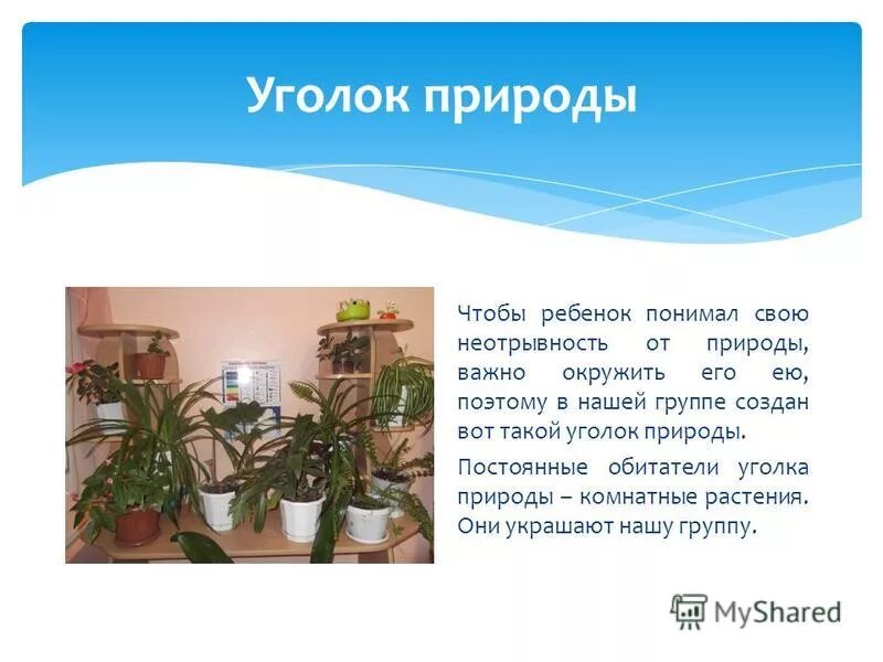 Сочинение-описание любимого уголка природы. Сочинение на тему мой любимый уголок природы. Опишите какой нибудь уголок природы. Опишите какой нибудь уголок природы. Рассказ о любимом уголке природы.