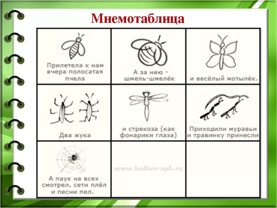 Конспект занятия по теме насекомые. Мнемотаблицы насекомые для дошкольников. схема описания насекомых для дошкольников. мнемотаблица стихотворение про насекомых. мнемотаблица стихи про насекомых для детей.