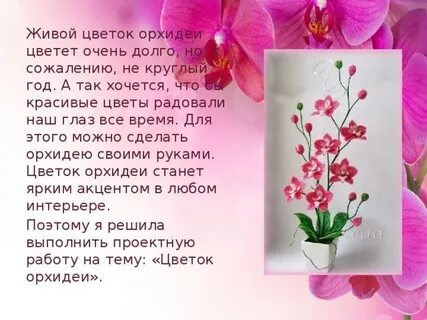 Значение орхидеи на языке цветов