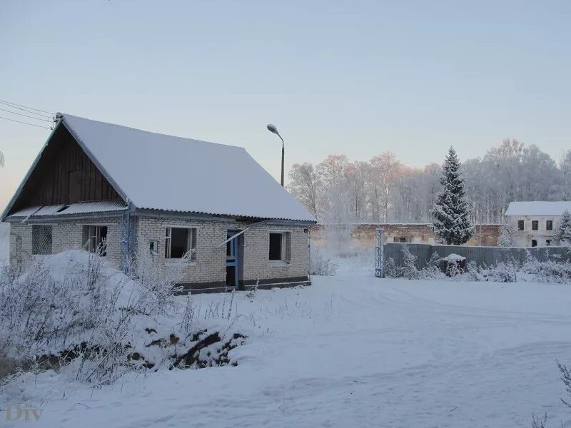 Новоселицы новгородская область