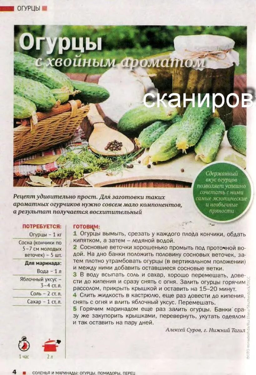 Через сколько можно есть огурцы после маринования