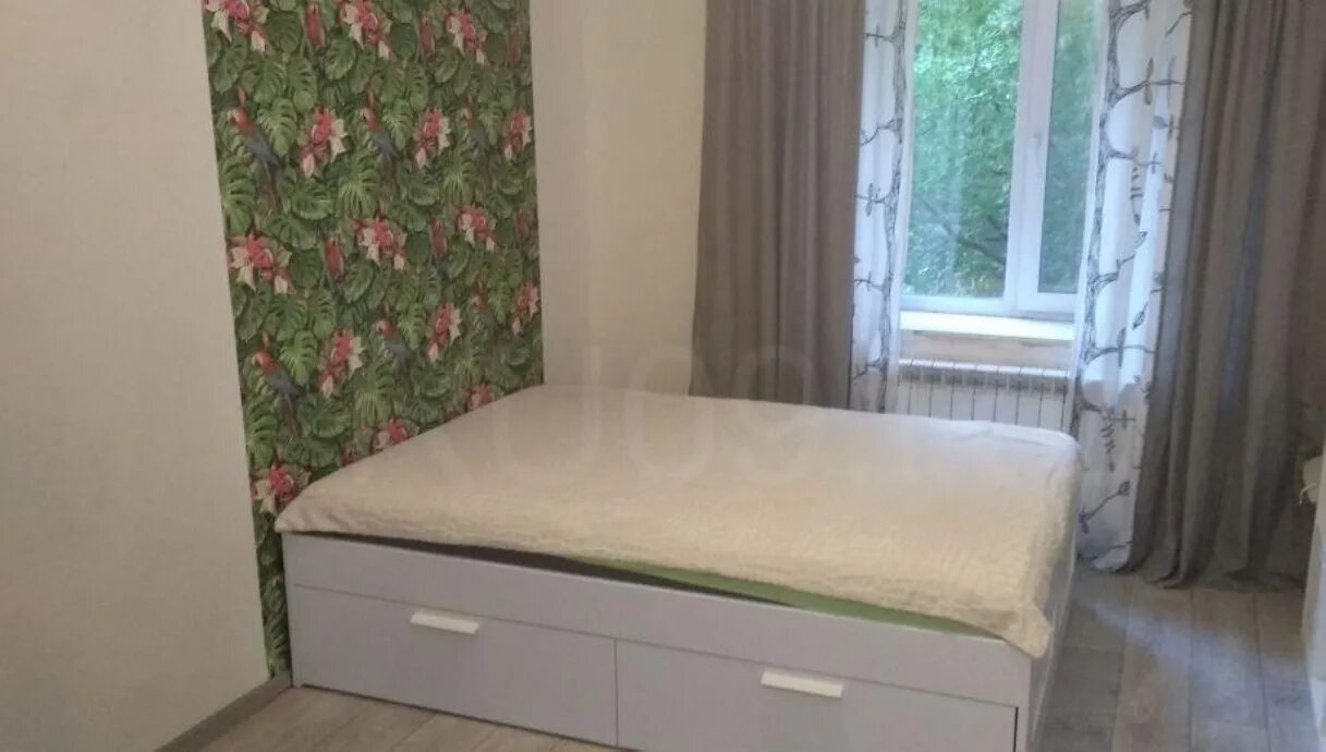 Розы люксембург 90. Розы Люксембург 90 Томск.