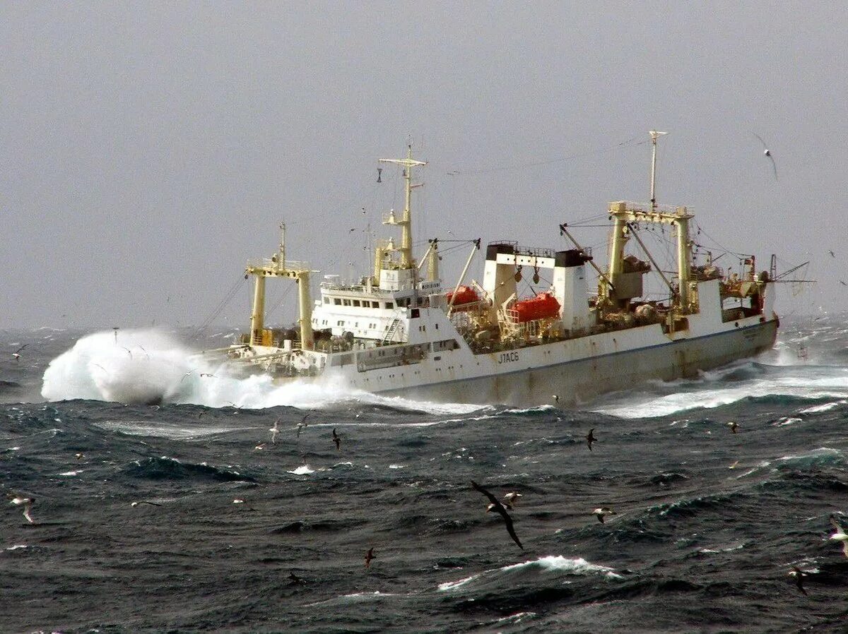 Анатолий 42 года. Транспортный рефрижератор 5000 dwt. Казаков анатолий владимирович трансресурс. Судомеханик профессия. Судовой электромеханик.