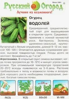 Огурцы сорта водолей