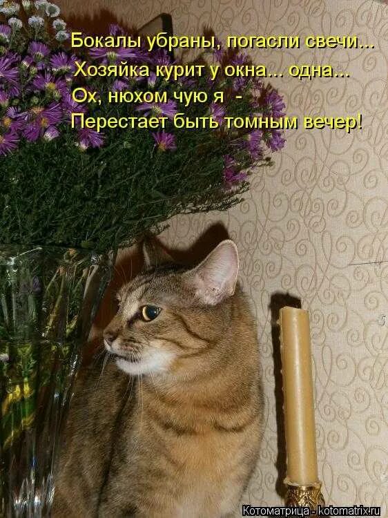 Этот вечер обещает быть. Вечер перестает быть томным. вечер обещает быть томным. вечер прекращает быть томным. вечер становится томным.