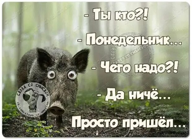 Просто приходит