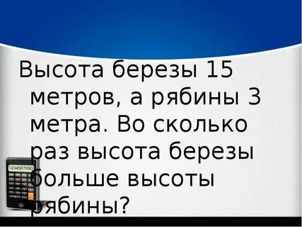 Высота березы 15м а рябины