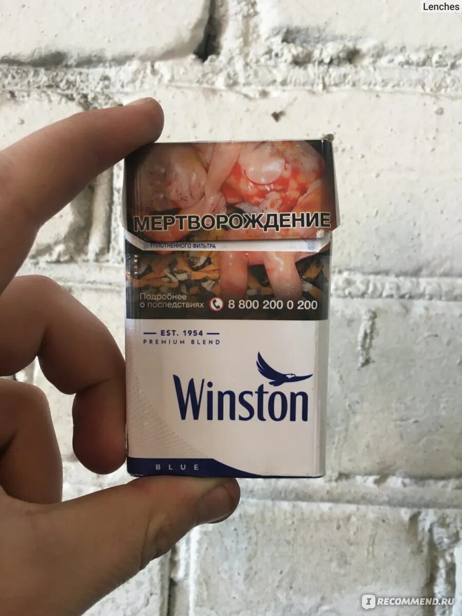 Сигареты Winston Blue. Сигареты Winston Compact. Сигареты Винстон ИКСТАЙЛ синий. Сигареты Винстон компакт.