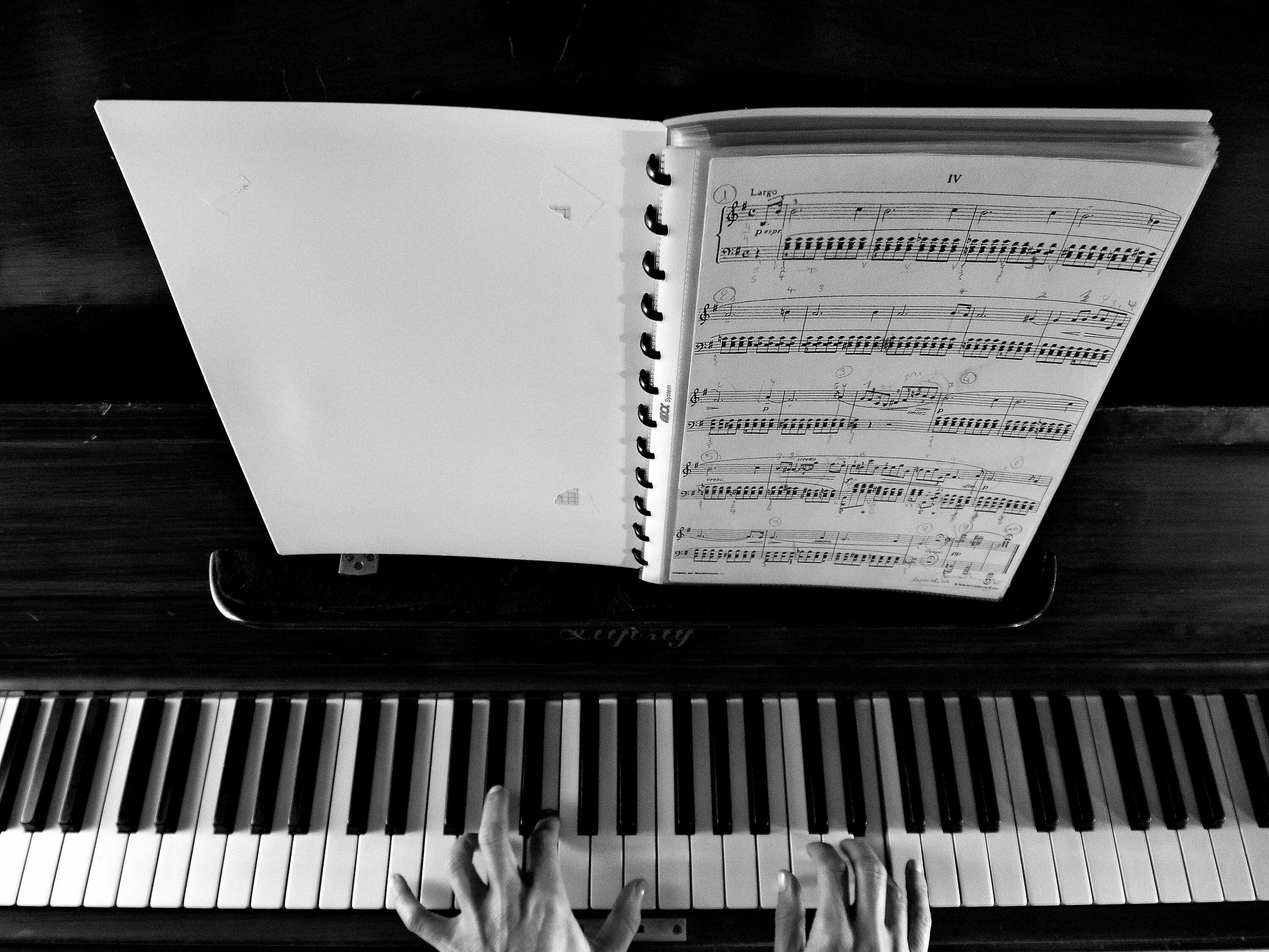 Музыка белый мир. Фортепиано. Черно белое пианино. Ноты для фортепиано. Фортепиано фон.