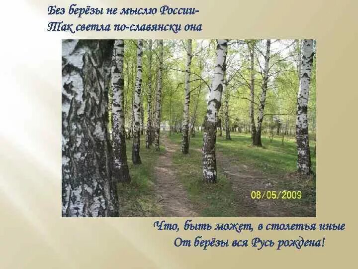 Россия без россии стих. Без березы не мыслю России. Стихотворение без березы не мыслю России. Малая Родина березы. Без берёзы не мыслю России так светла по славянски она.