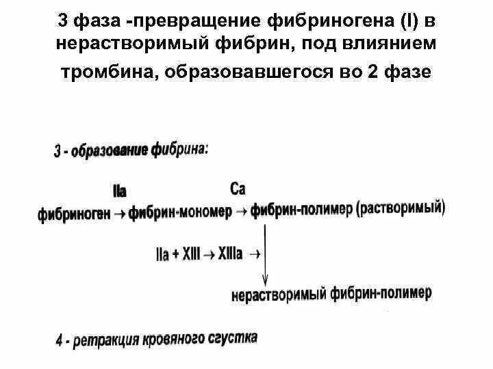 Формирование тромба взаимодействие тромбина с фибриногеном разрушение