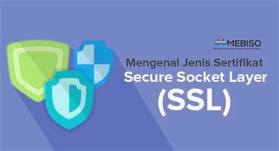 Secure socket. Secure socket