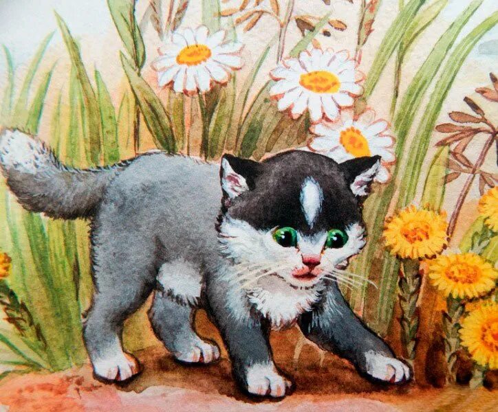 Кошки в литературных произведениях. Пришвин кот васька. Константин паустовскийкот вырюга. Кот в литературных произведениях. Первое издание кот в сапогах франция.