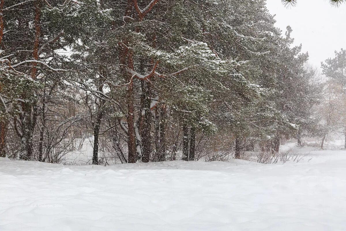 Погода удмуртия малая пурга. Удмуртия малопургинский район с малая пурга. Малая пурга фото. Малая пурга магазин. Удмурт дэрем малая пурга.