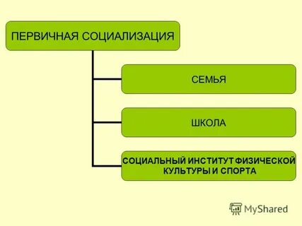Первичная семья