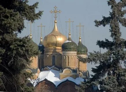 Купола автор
