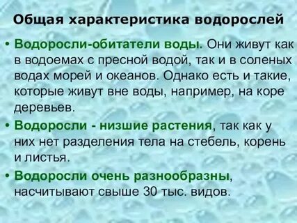 Общая характеристика водорослей 7 класс конспект урока