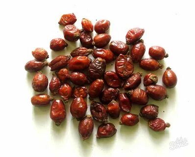Семена шиповника