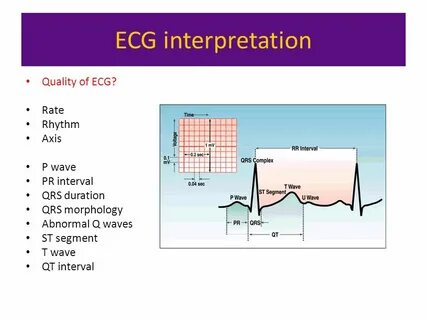 Interpretation