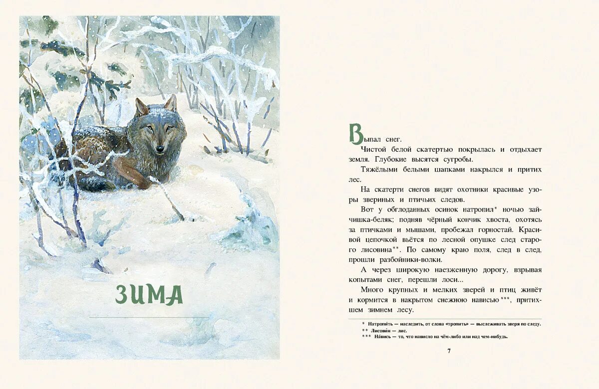 Произведения зима в лесу. Зима в лесу иван соколов-микитов. соколов-микитов год в лесу. соколова-микитова «зима в лесу».. чтение и. соколов – микитов «зима в лесу»..