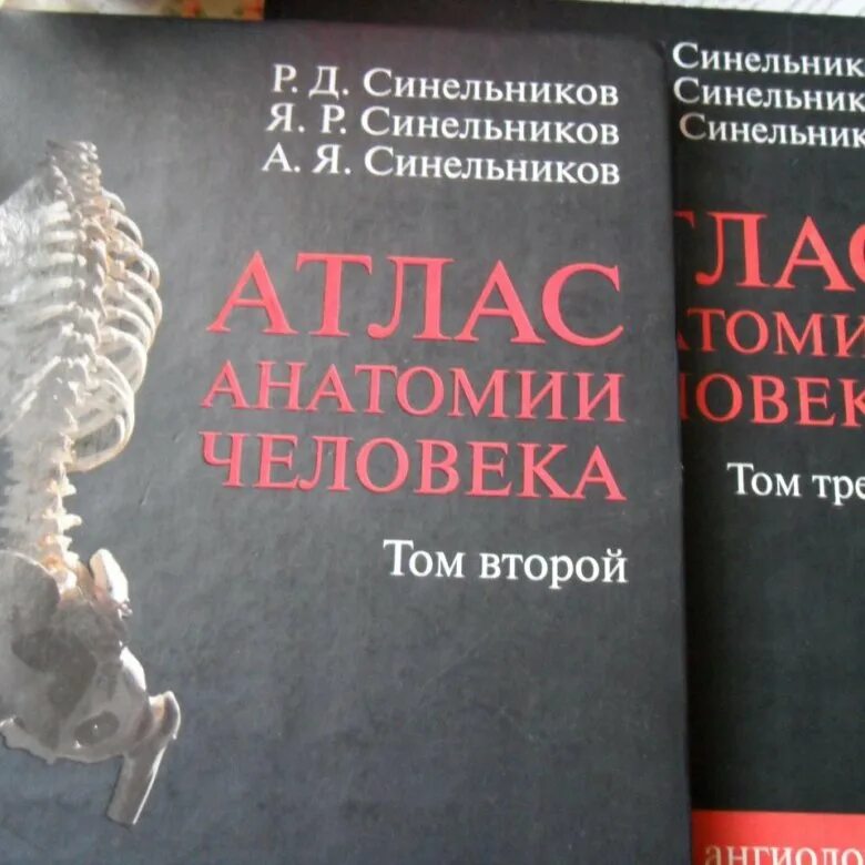 Атлас анатомии синельников 3. Синельников анатомия 2 том. атлас анатомии синельников 2 том. синельников атлас 3 том. синельников атлас анатомии человека 3 том.