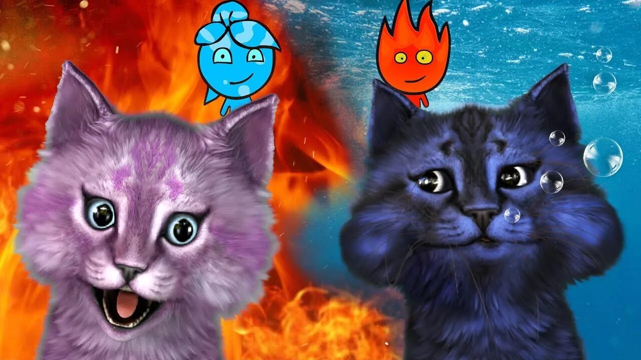 Видео канал кошка. Огонь и вода кошки. Огненный котик.