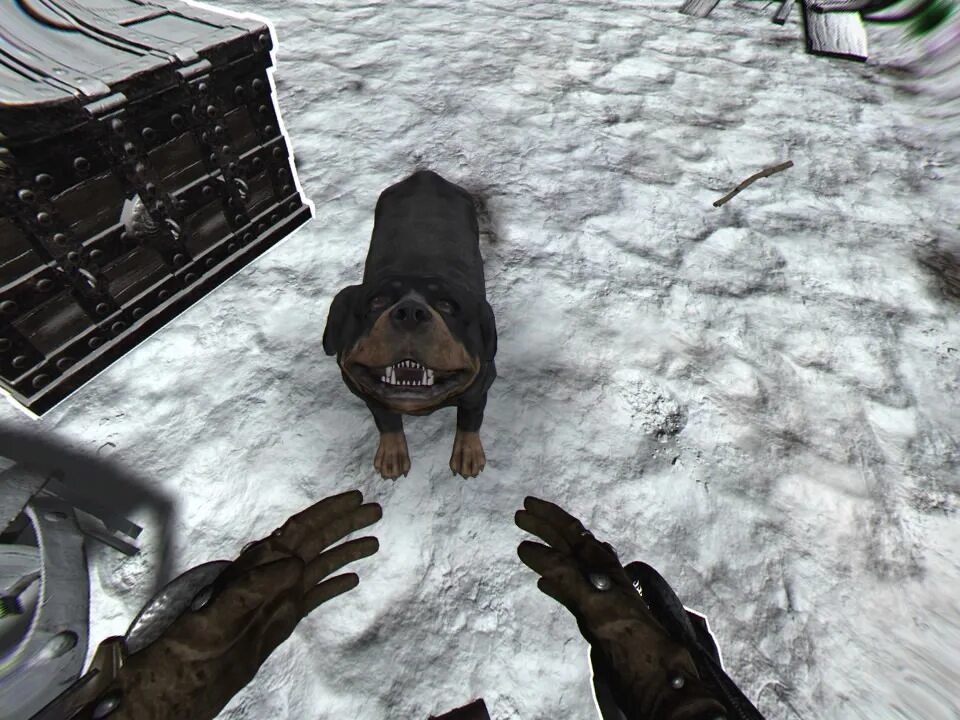 Legend vr. Shadow legend vr. shadow legends vr пароль. собака шадоу из игры. shadow legend vr прохождение.