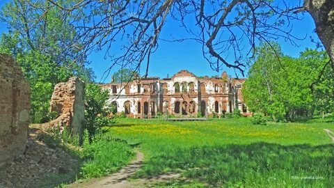 Ломоносов гостилицы