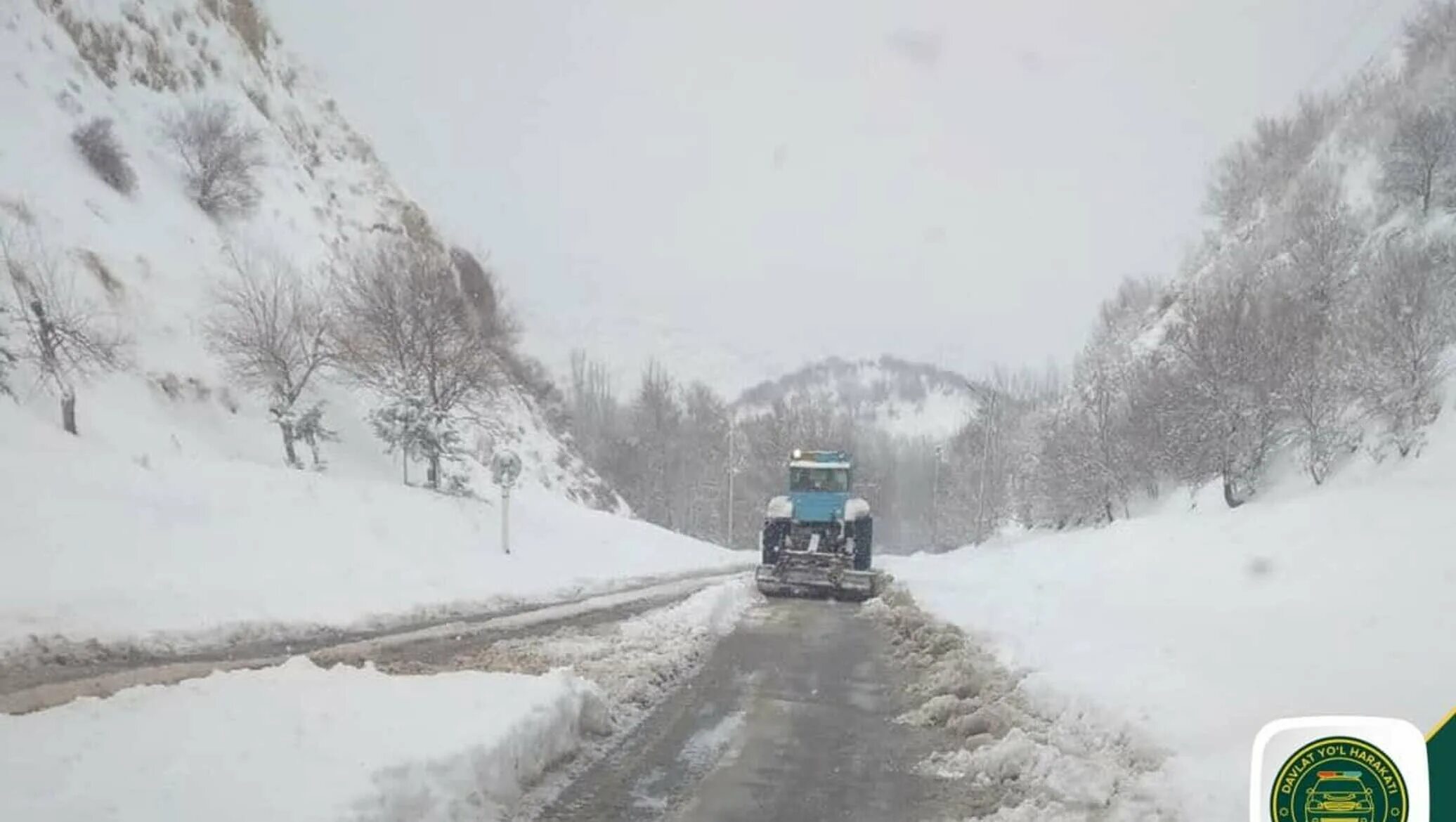 Выжить в самарканде от 14 января