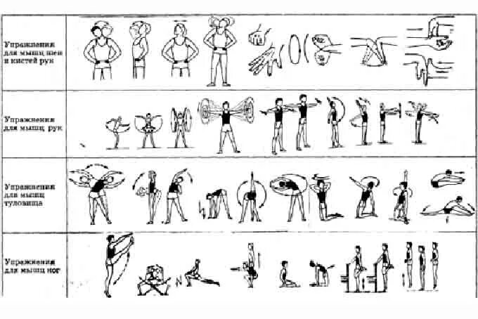 Упражнения на выносливость 4 класс физкультура. Комплекс упражнений на выносливость 10. Комплекс ору 8 упражнений по физкультуре. Комплекс для развития выносливости у легкоатлетов.