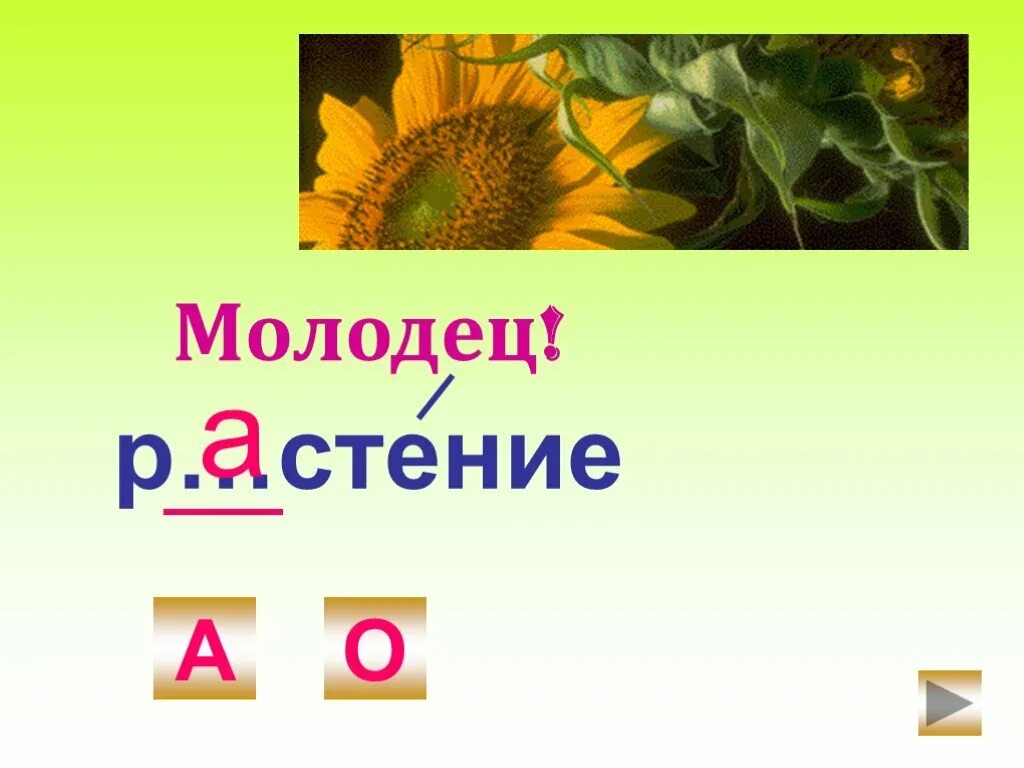 Выр а стишь. Р стение корень. Р стение корень. Объяснительный диктант 5 класс. Щенный проверочное слово.